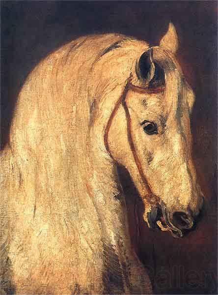 Piotr Michalowski Studium of Horse Head
